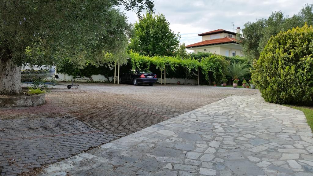 Amparoudes Apartment Kriopigi Bagian luar foto