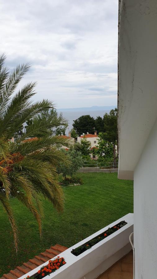 Amparoudes Apartment Kriopigi Bagian luar foto
