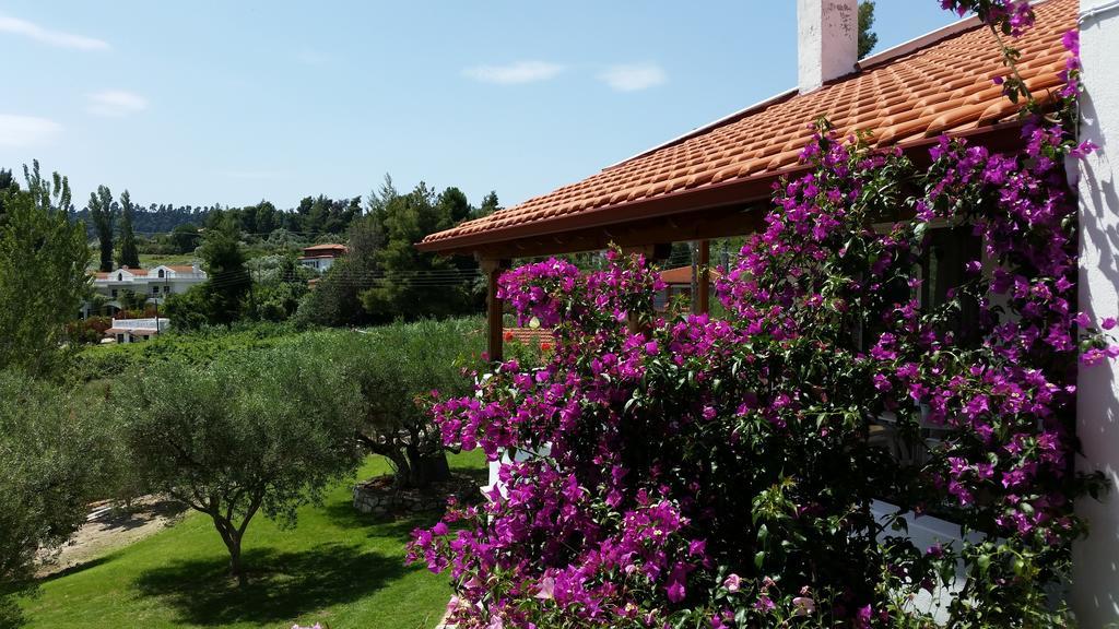 Amparoudes Apartment Kriopigi Bagian luar foto